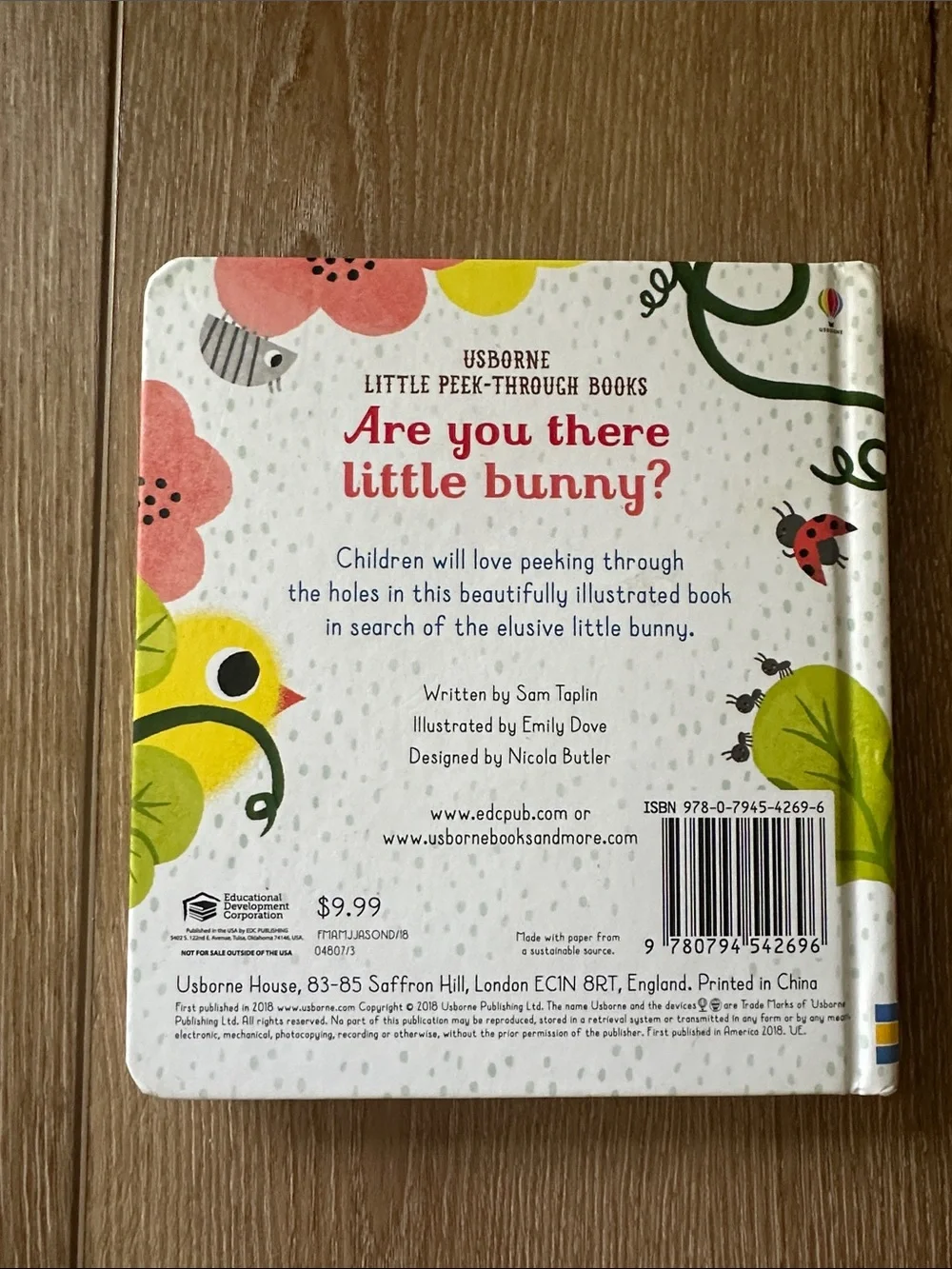 Usborne Are You There Little Bunny? Peak Thru Board Book